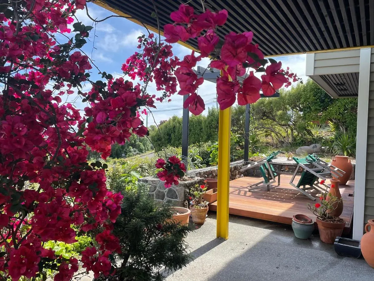 Under The Yellow Canopy Christchurch Apartment